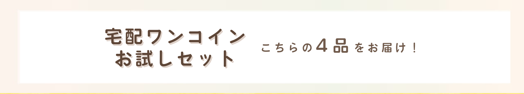 宅配ワンコインお試しセット こちらの4品をお届け！